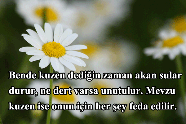 kuzen sözleri